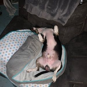 Meet your Posher, Amber